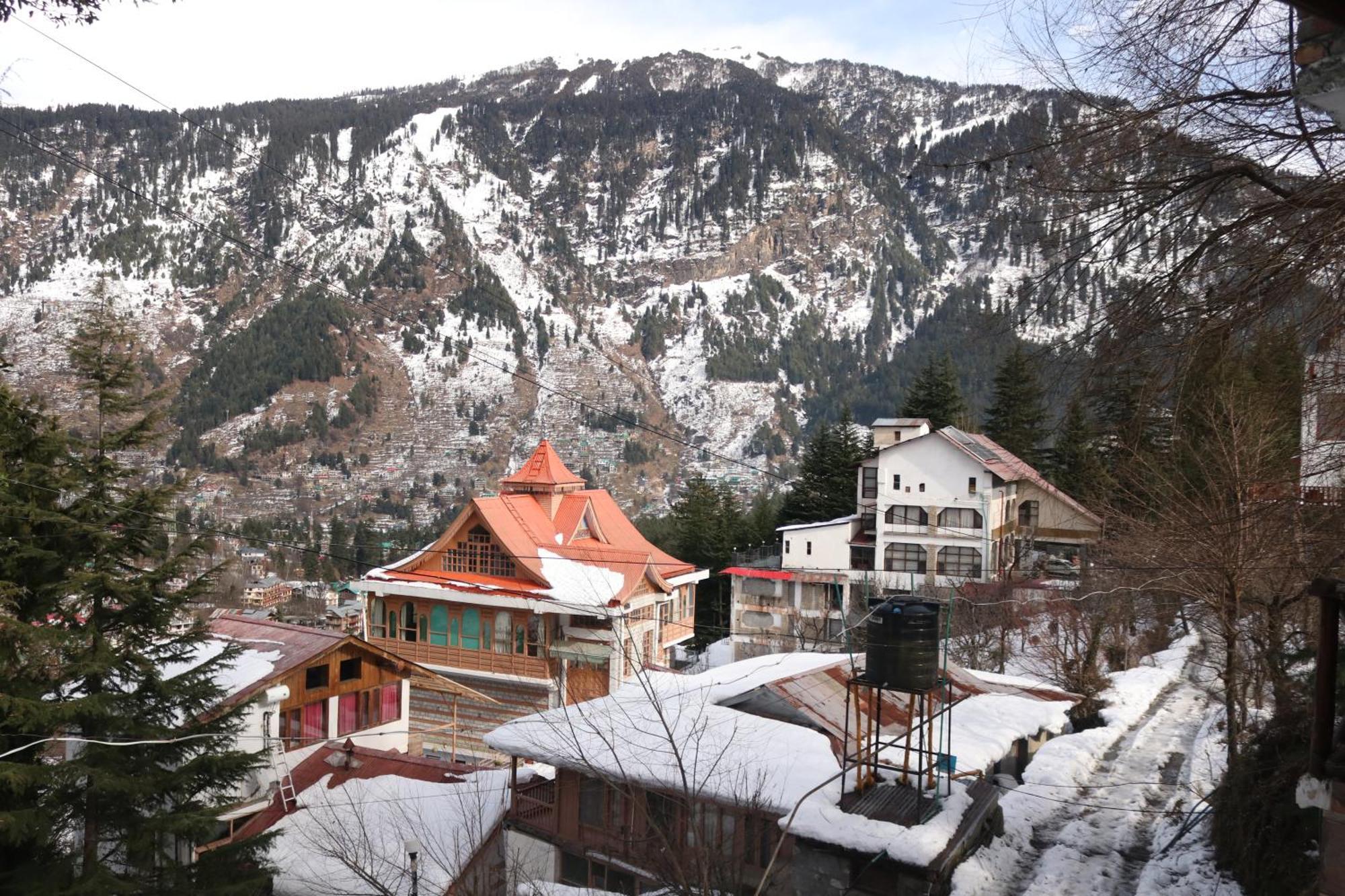 Forest Wood Cottage 马拉里 外观 照片